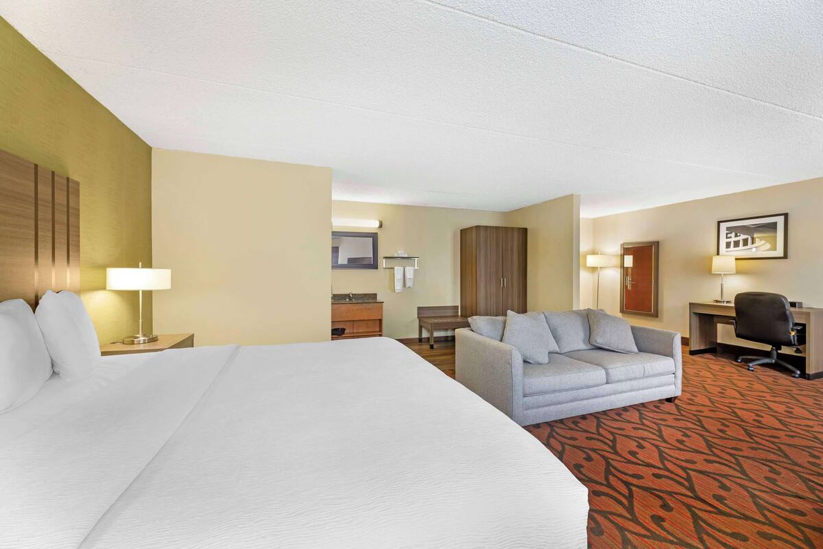 A hotel room with a large bed, a grey sofa, a desk with a chair, and a small table with a lamp.