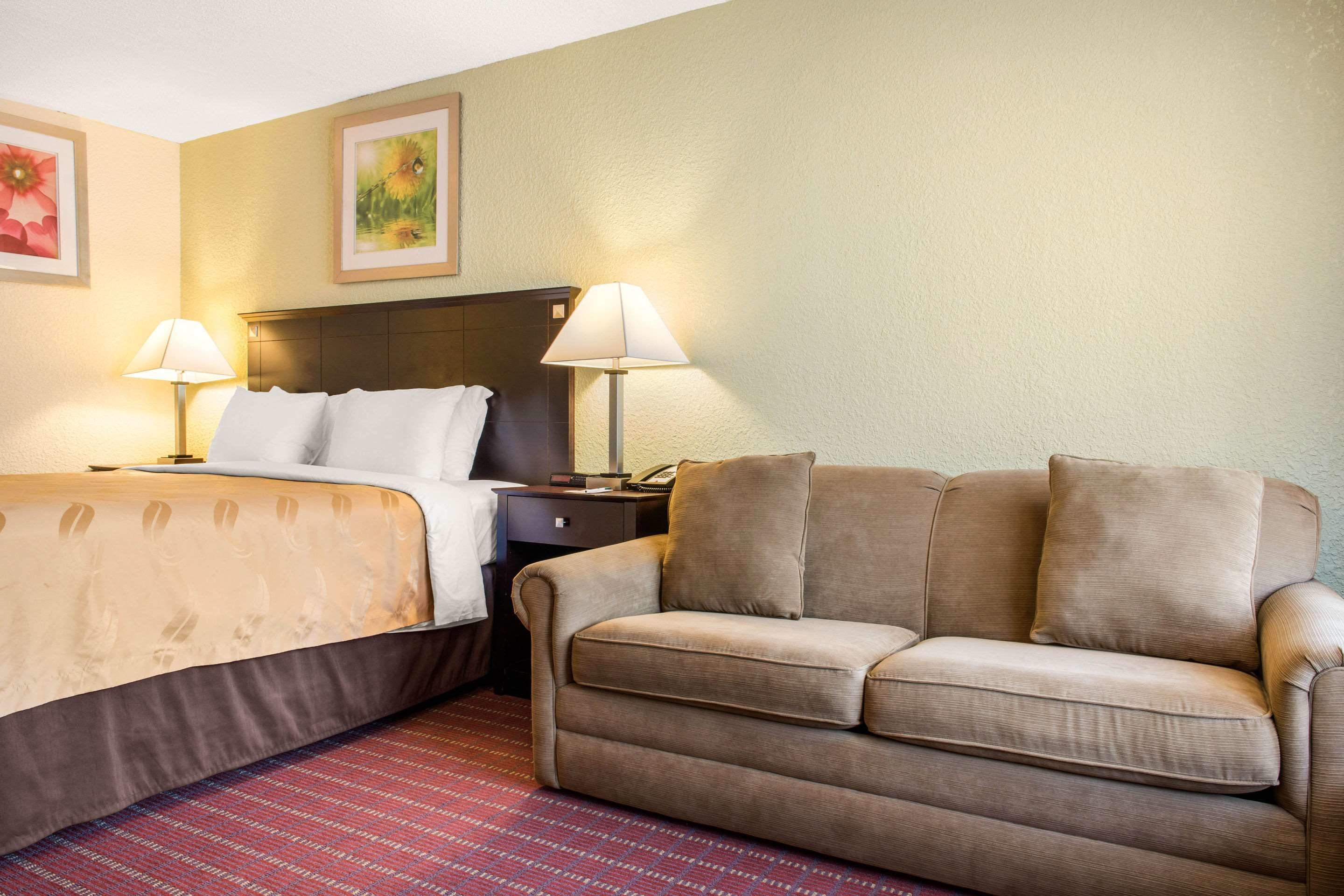 Una habitación de hotel con una cama, un sofá, dos lámparas de noche y suelo alfombrado.