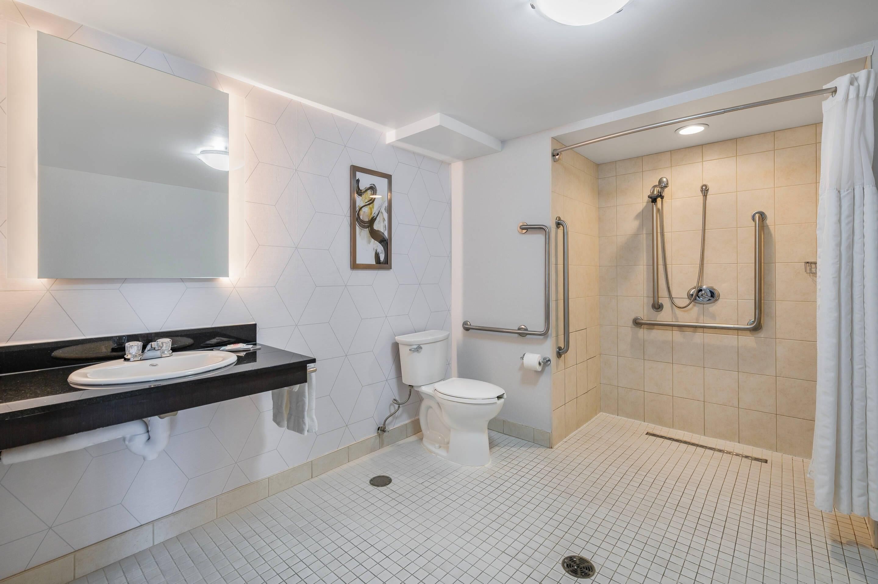 Un bagno moderno con un ampio specchio, un lavandino, il water e una cabina doccia accessibile dotata di maniglie di sostegno.