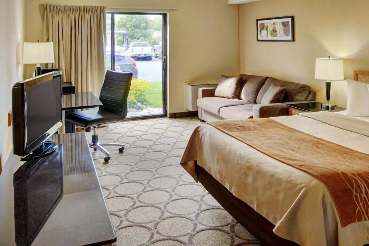 Une chambre d’hôtel avec un lit, un bureau avec une télévision, une chaise, un canapé et une vue sur l’extérieur.