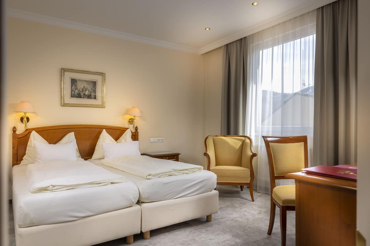 Basic Double or Twin Room (Traube)