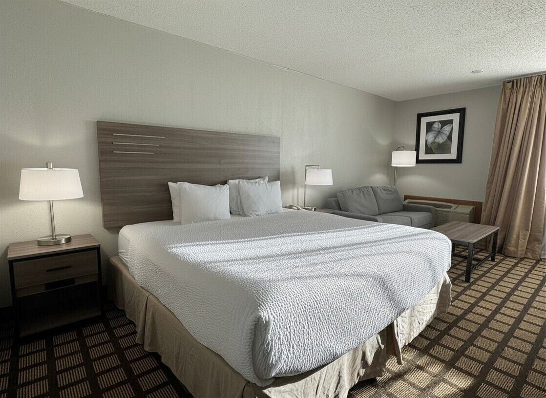 Room, 1 King Bed, Non Smoking | Hypo-allergenic bedding, in-room safe, desk, blackout drapes