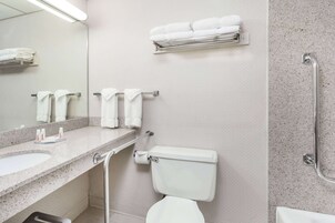 Bañera con ducha, artículos de tocador gratuitos, secador de pelo