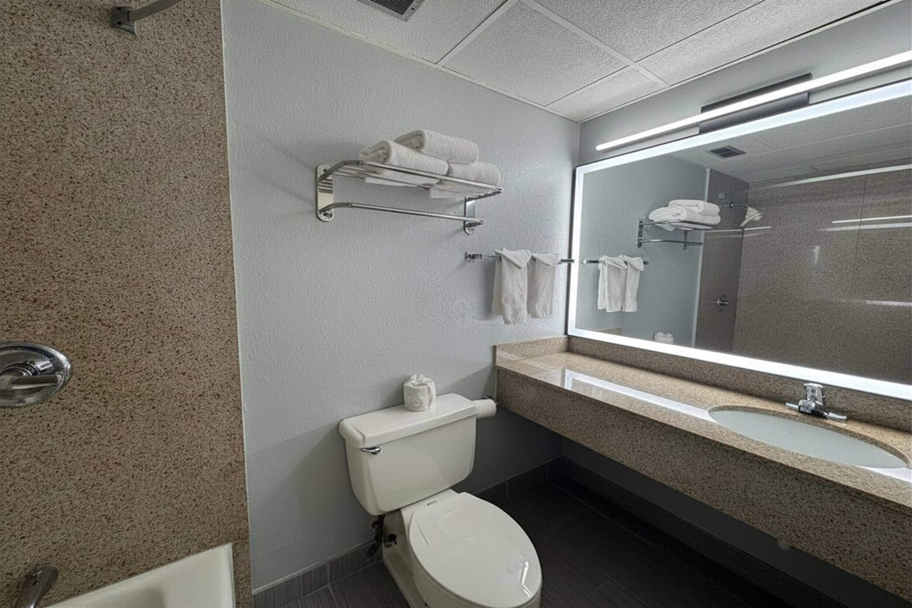 A modern bathroom with a toilet, sink, and mirror.
