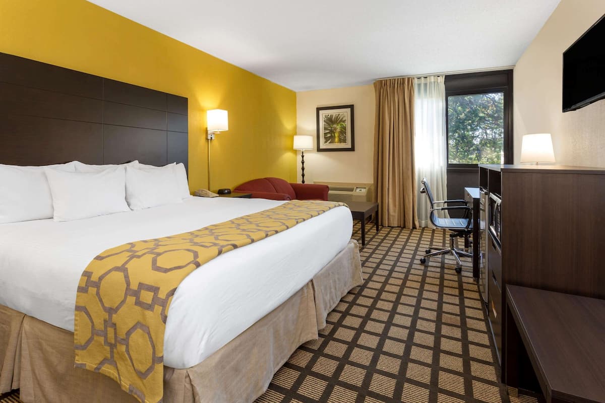 Room, 1 King Bed, Non Smoking | Hypo-allergenic bedding, in-room safe, desk, blackout curtains