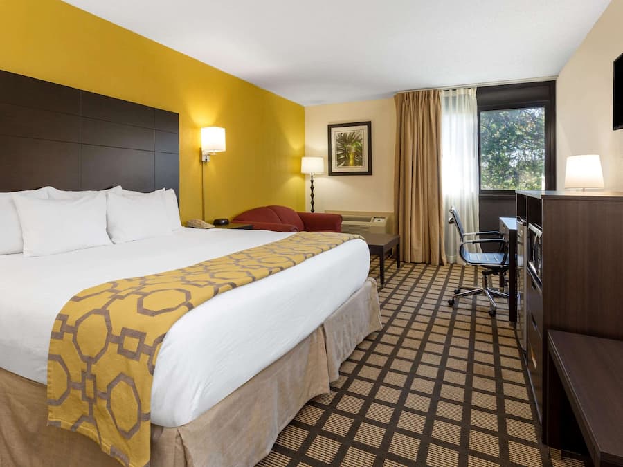 Room, 1 King Bed, Non Smoking