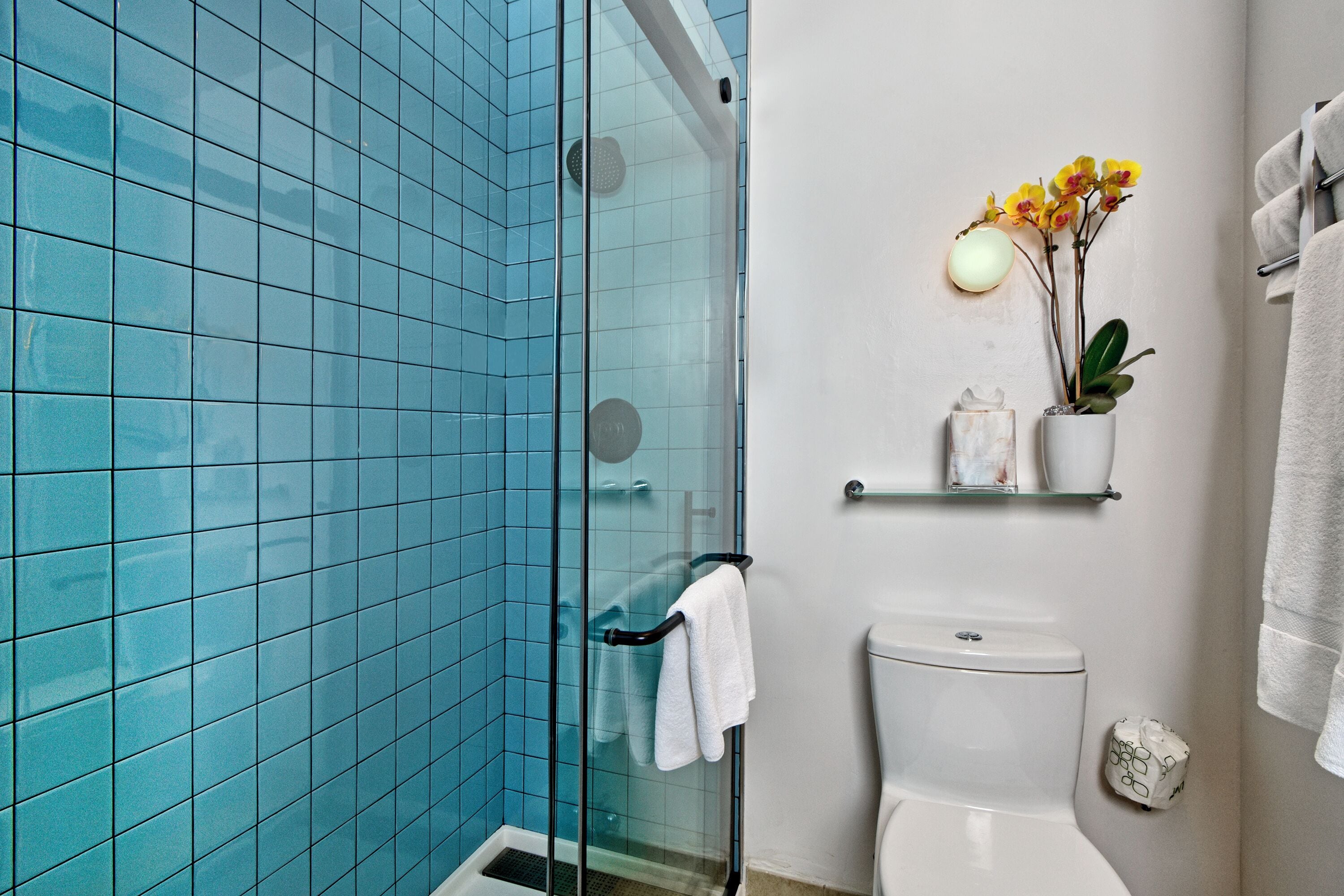 deluxe room, 1 queen bed | bathroom | shower, free toiletries, hair dryer, bathrobes