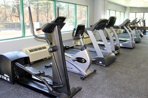 Stay active with our well-maintained fitness equipment, including treadmills and ellipticals, in a spacious gym with large windows offering a serene view.