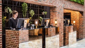En receptionsdisk med flere HP computere, en receptionist samt en mur med beplantning.
