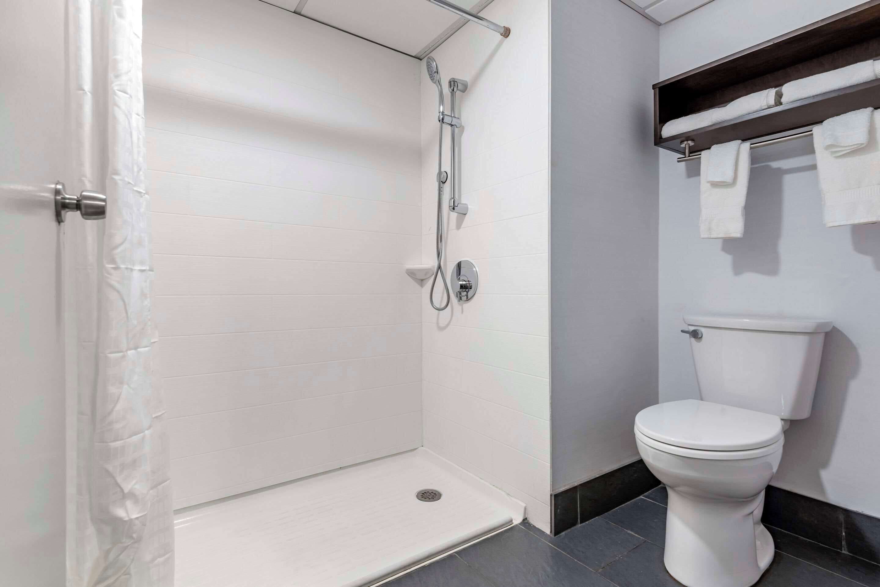 room, 1 king bed, accessible, non smoking | egyptian cotton sheets, premium bedding, down duvets, pillow-top beds