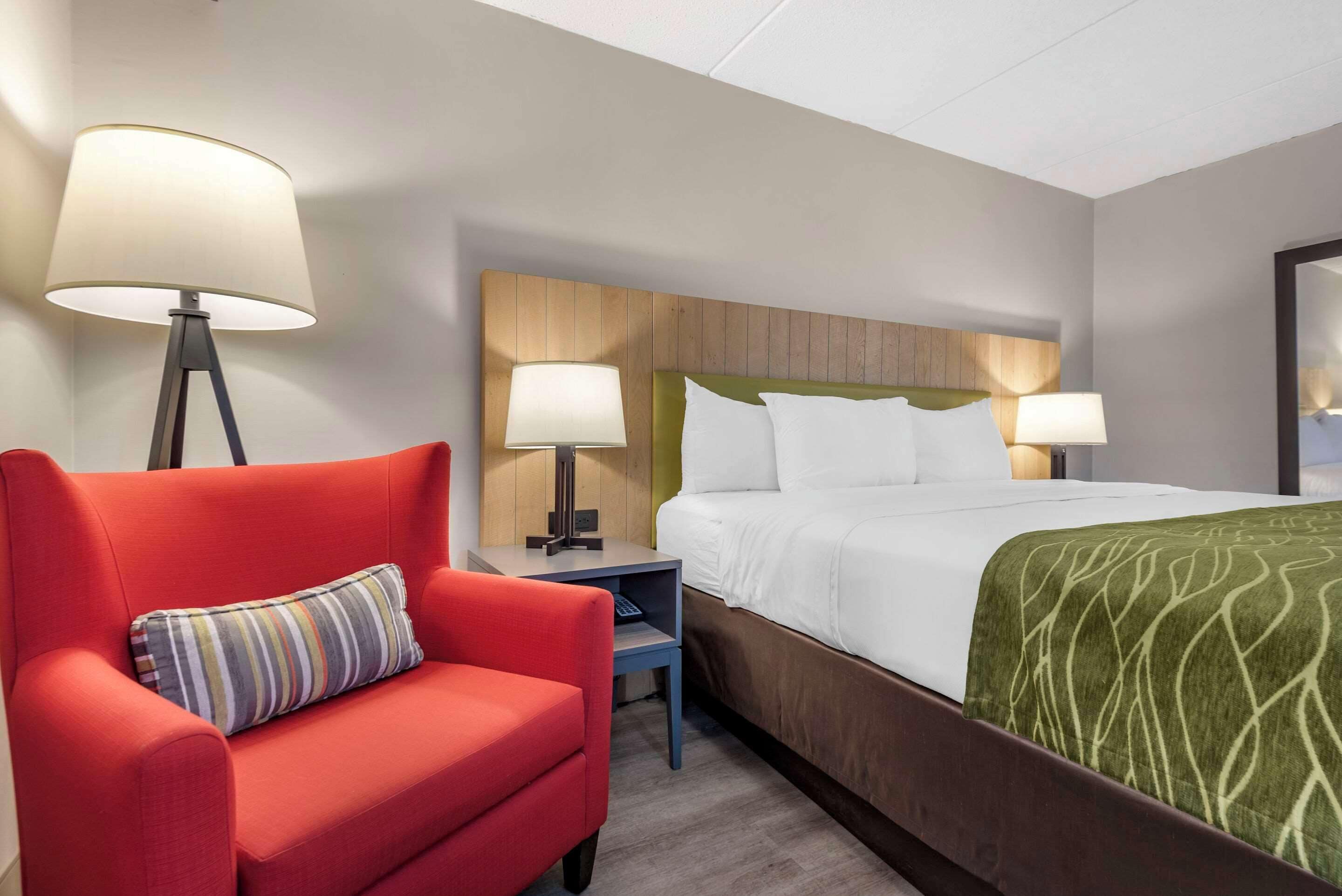 standard room, 1 king bed, non smoking | egyptian cotton sheets, premium bedding, down duvets, pillow-top beds