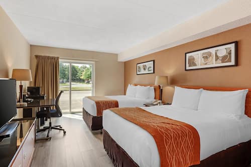 Standard Room, 2 Double Beds, Non Smoking, Ground Floor | Desk, laptop workspace, blackout curtains, iron/ironing board