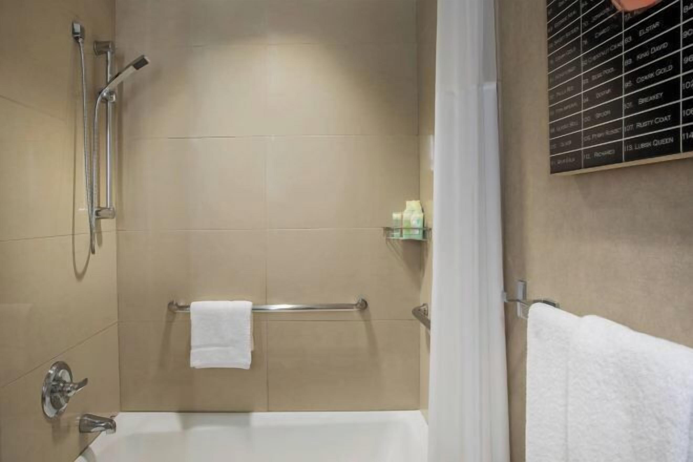 Produtos de toalete de grife, secador de cabelo, toalhas de banho 