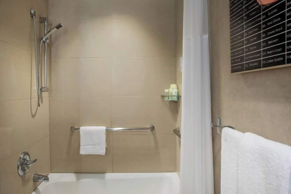 Designer toiletries, hair dryer, towels