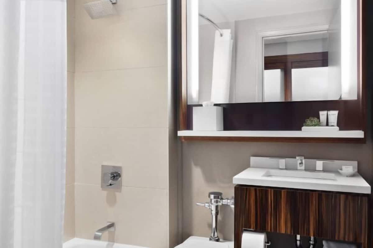 Designer toiletries, hair dryer, towels