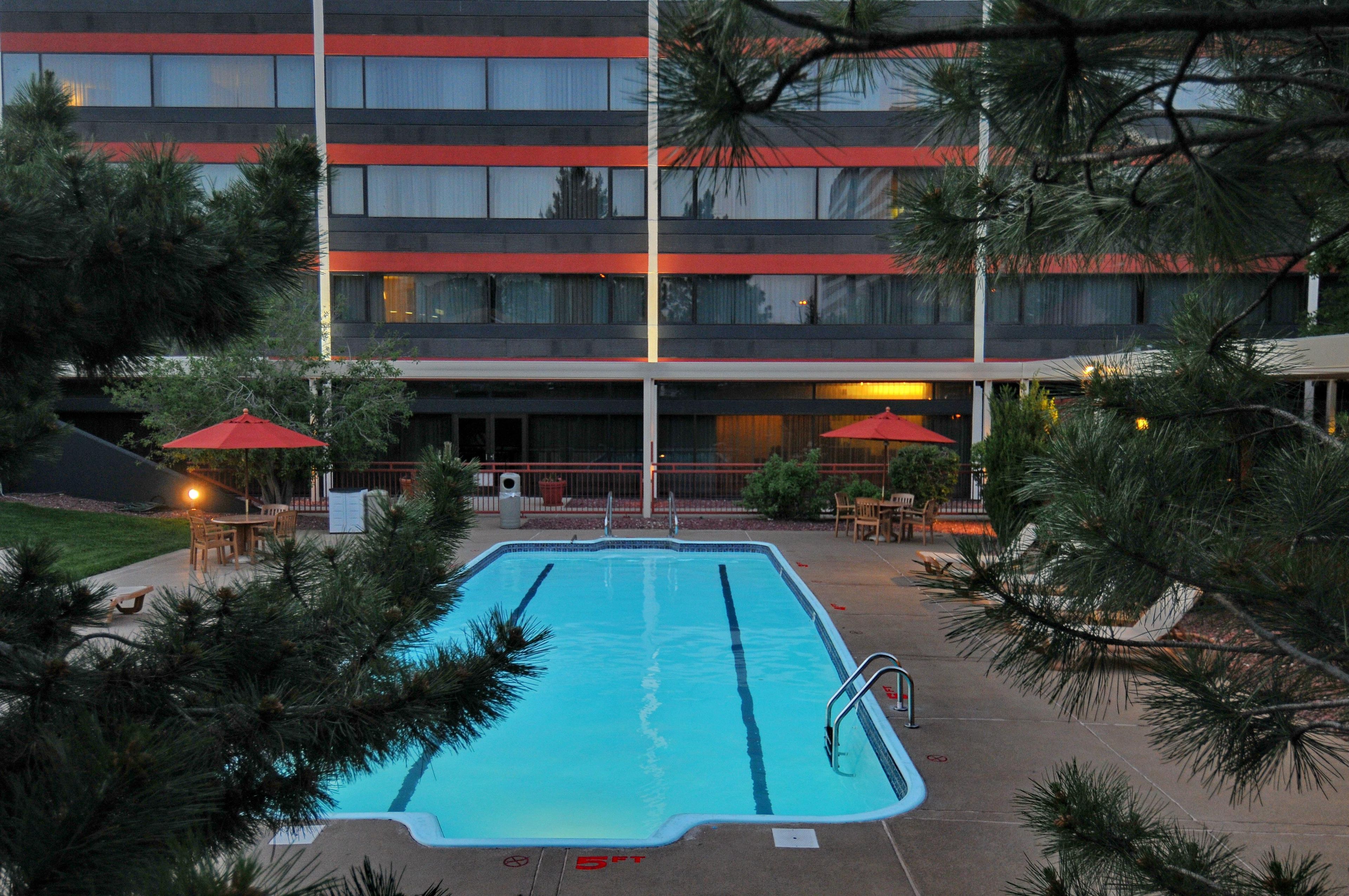 Una piscina con tabla de clavados, rodeada de árboles y un edificio de varios pisos y ventanas.