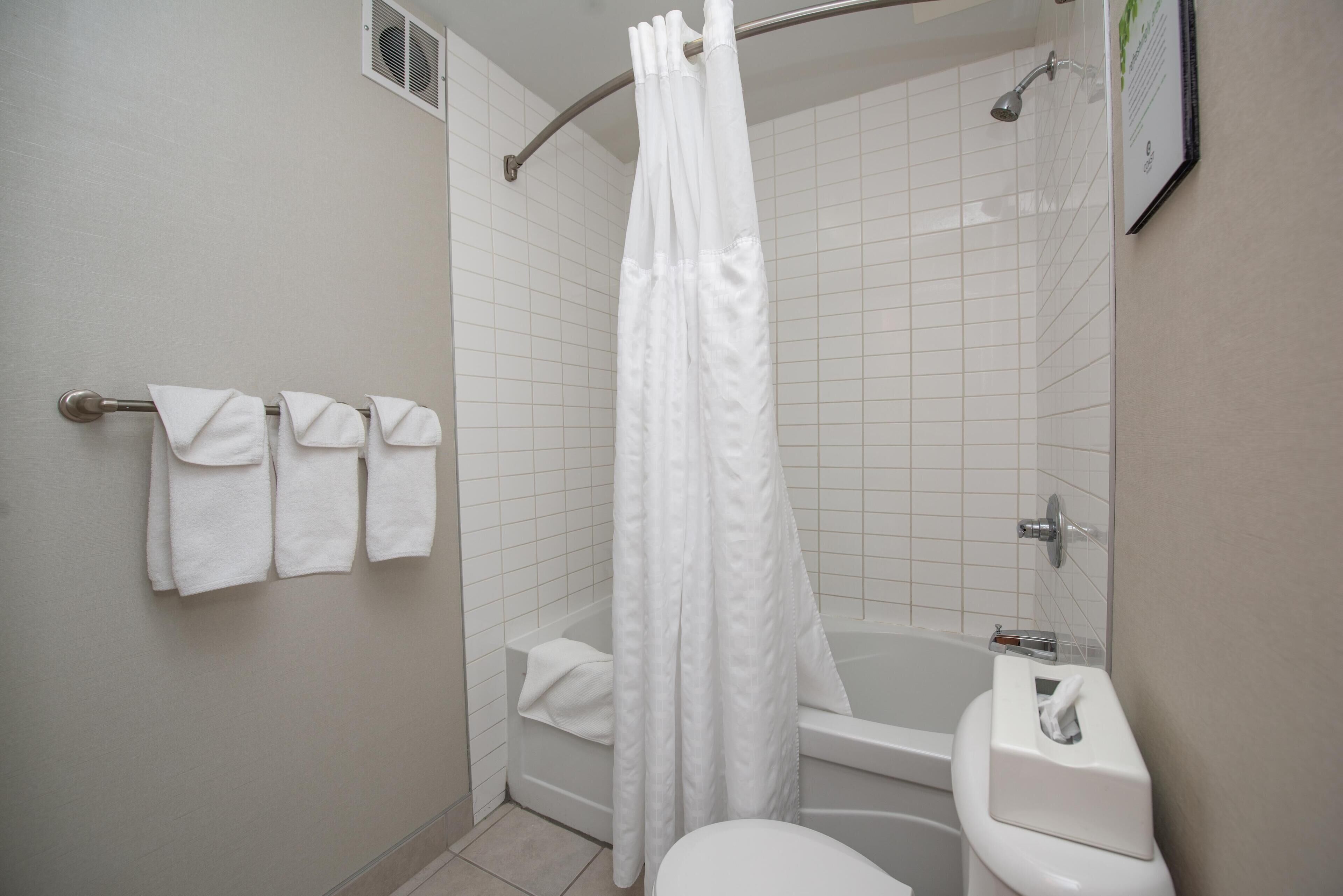 A bathroom with a shower, toilet, and towel rack.