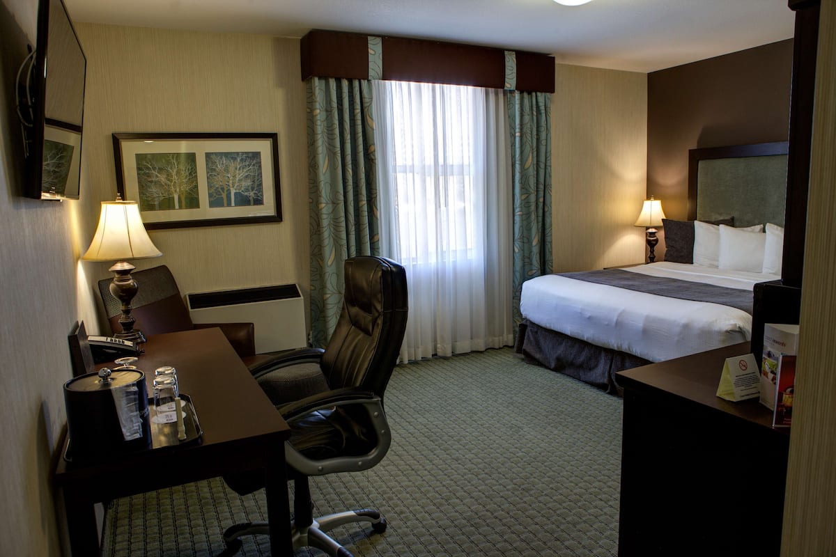 Premium bedding, down duvets, desk, blackout curtains