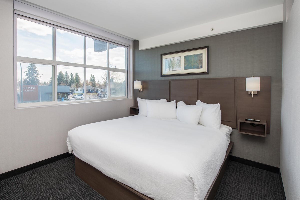 Premium Suite, 1 King Bed | Premium bedding, down comforters, desk, blackout drapes
