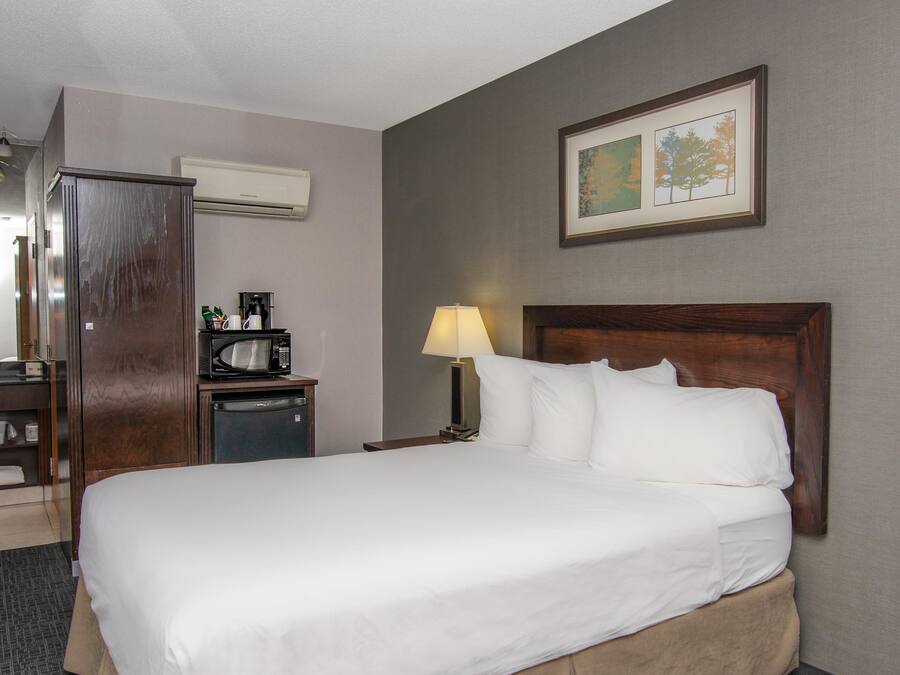 Habitación individual básica (Coast Limited Queen) | Ropa de cama de alta calidad, edredones de plumas, cortinas opacas
