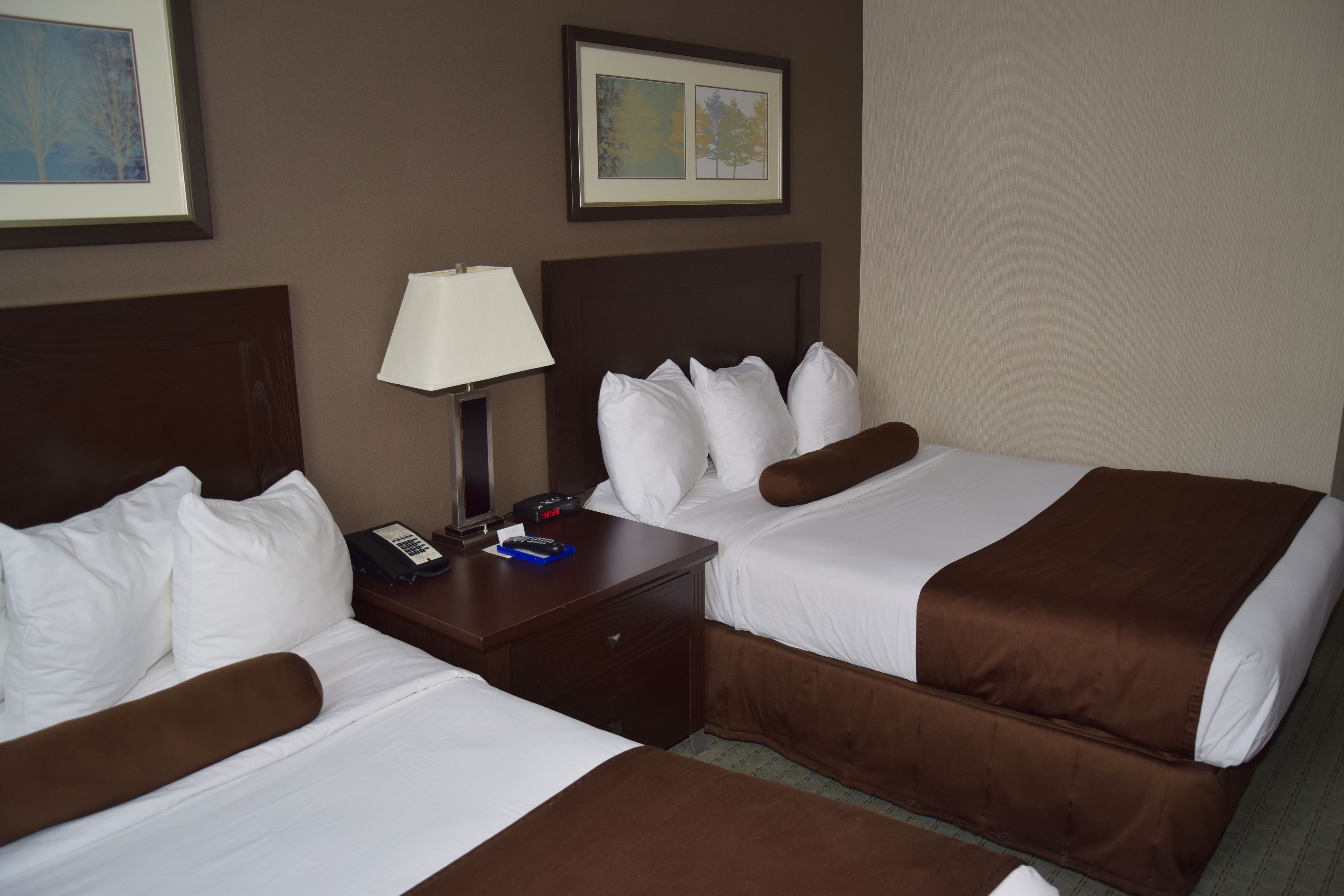 Premium bedding, down comforters, desk, blackout drapes