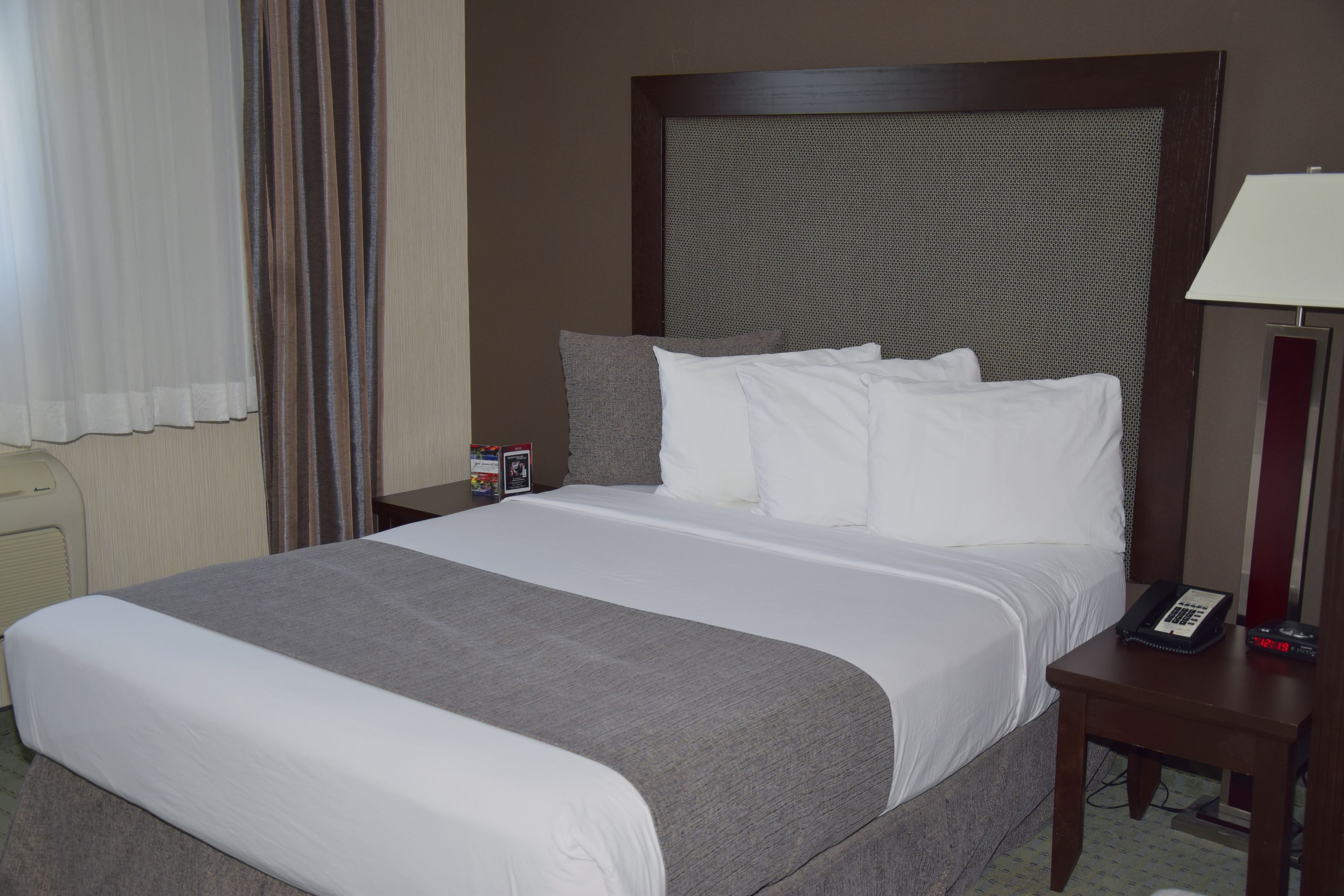 comfort room, 1 queen bed (coast queen) | premium bedding, down duvets, desk, blackout curtains