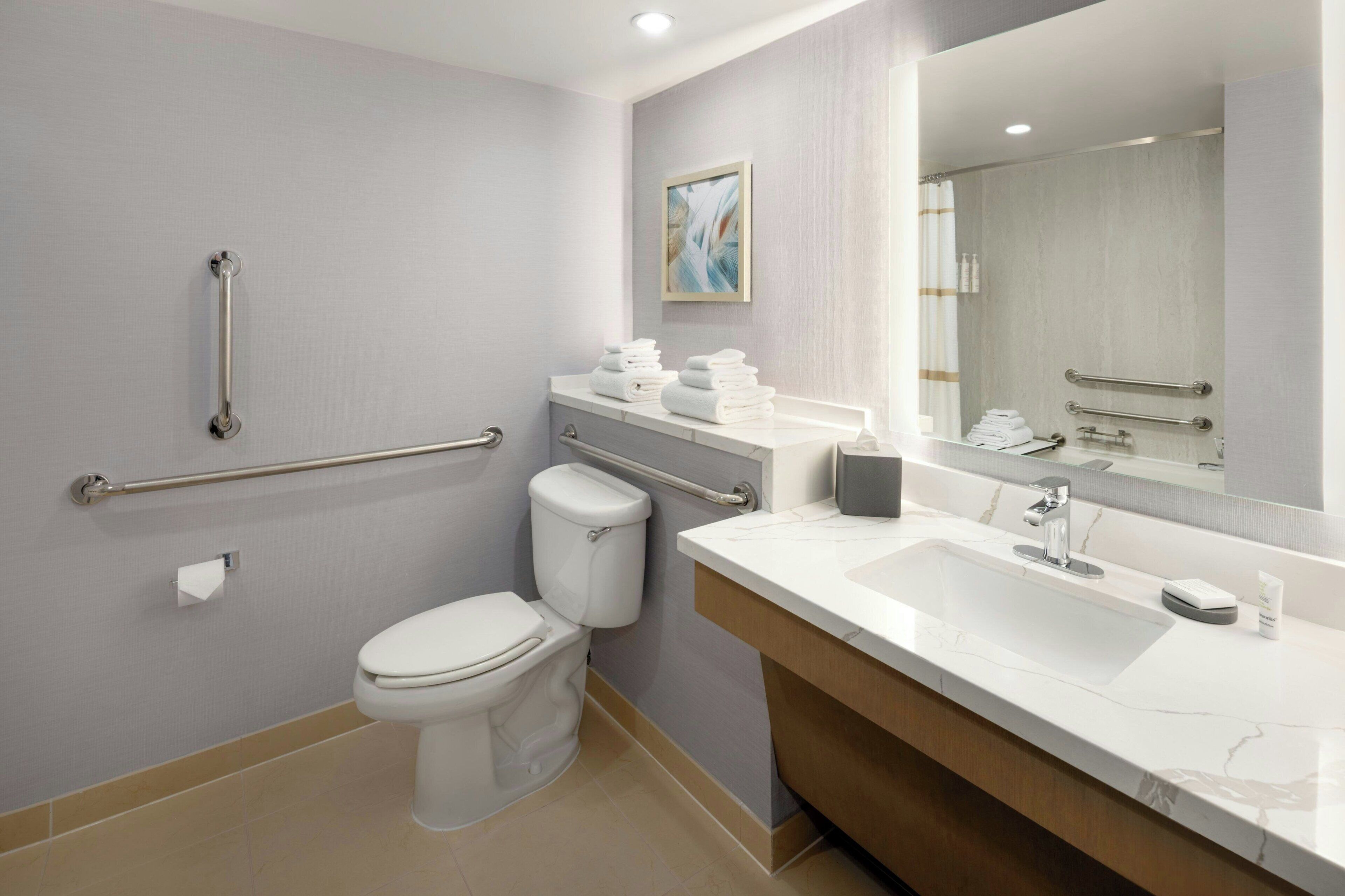 A modern bathroom with a toilet, grab bars, a sink, and a mirror.