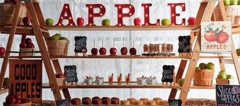 金莺公园巴尔的摩内港口万豪酒店