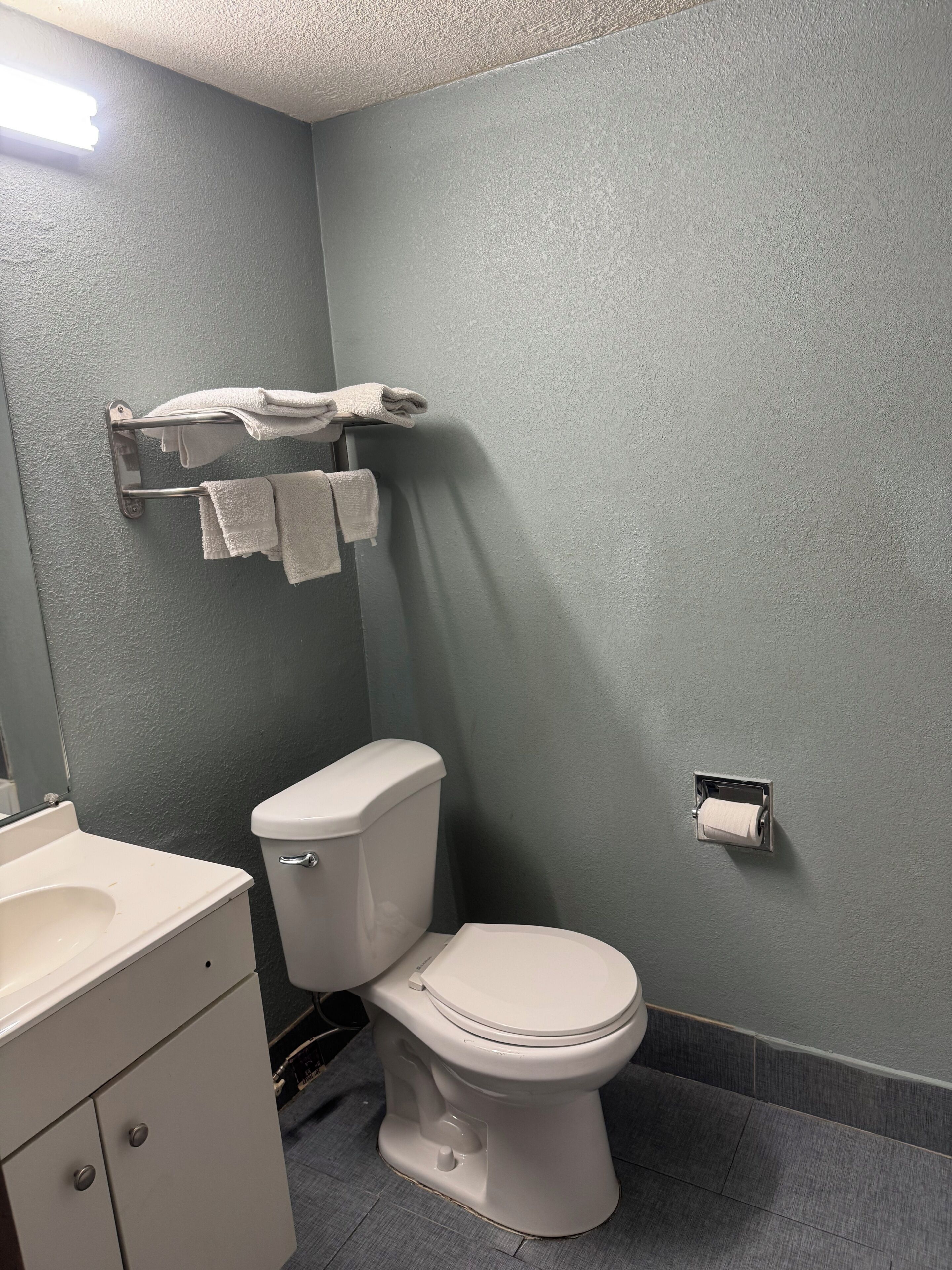 A bathroom with a toilet, a towel rack, a sink, and a mirror.