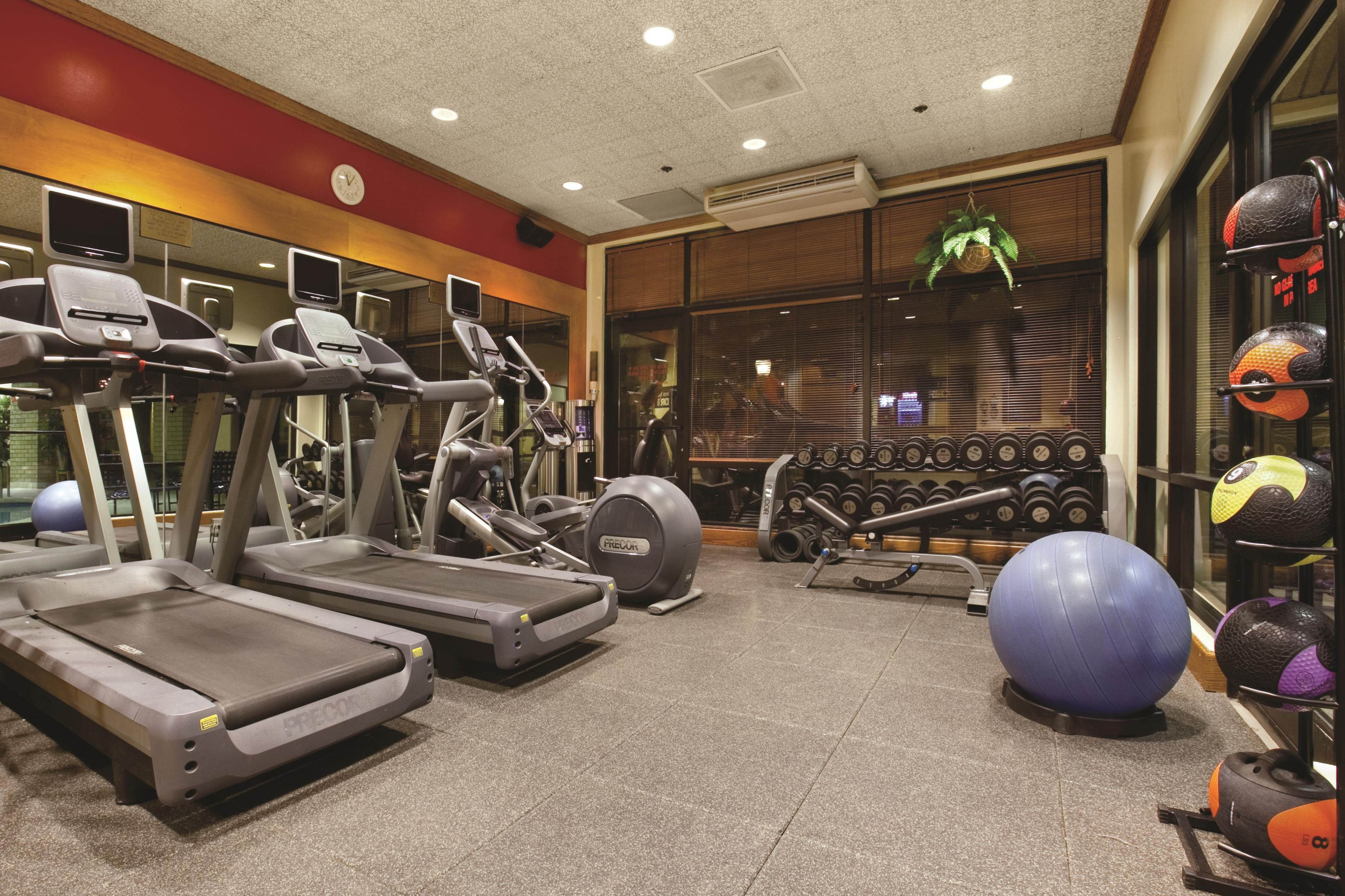 A gym with treadmills, exercise balls, and dumbbells.