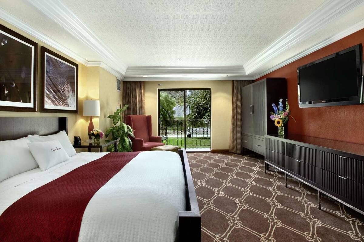 A hotel room with a large bed, a television, a desk with a lamp, and a view of the outdoors.