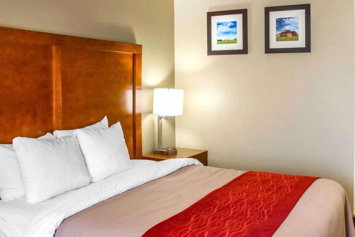 A hotel room with a large bed, a wooden headboard, a nightstand with a lamp, and two framed pictures on the wall.