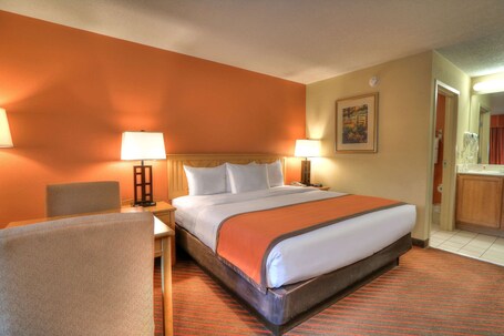 Econo Lodge Pigeon Forge Riverside - Image 90