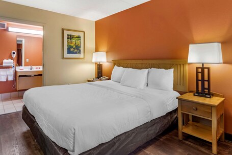 Econo Lodge Pigeon Forge Riverside - Image 89
