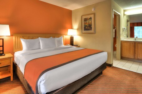 Econo Lodge Pigeon Forge Riverside - Image 75
