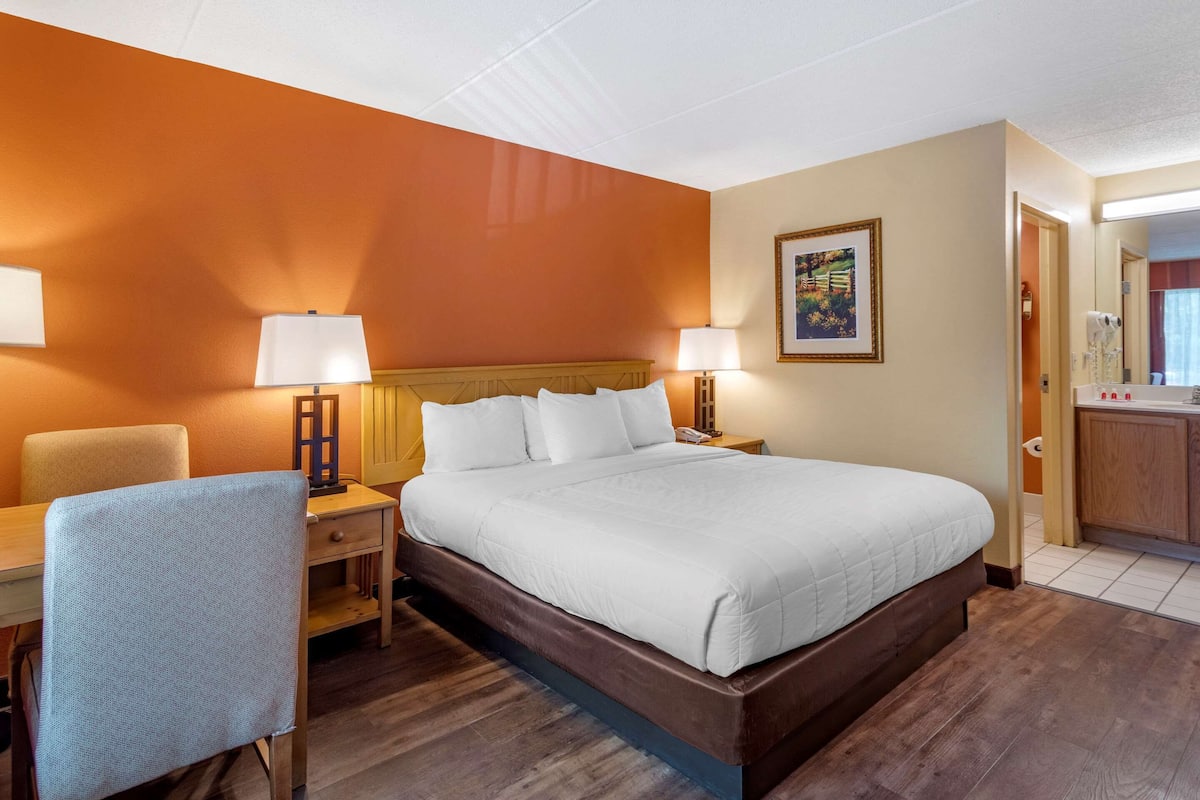 Premium bedding, desk, iron/ironing board, free WiFi