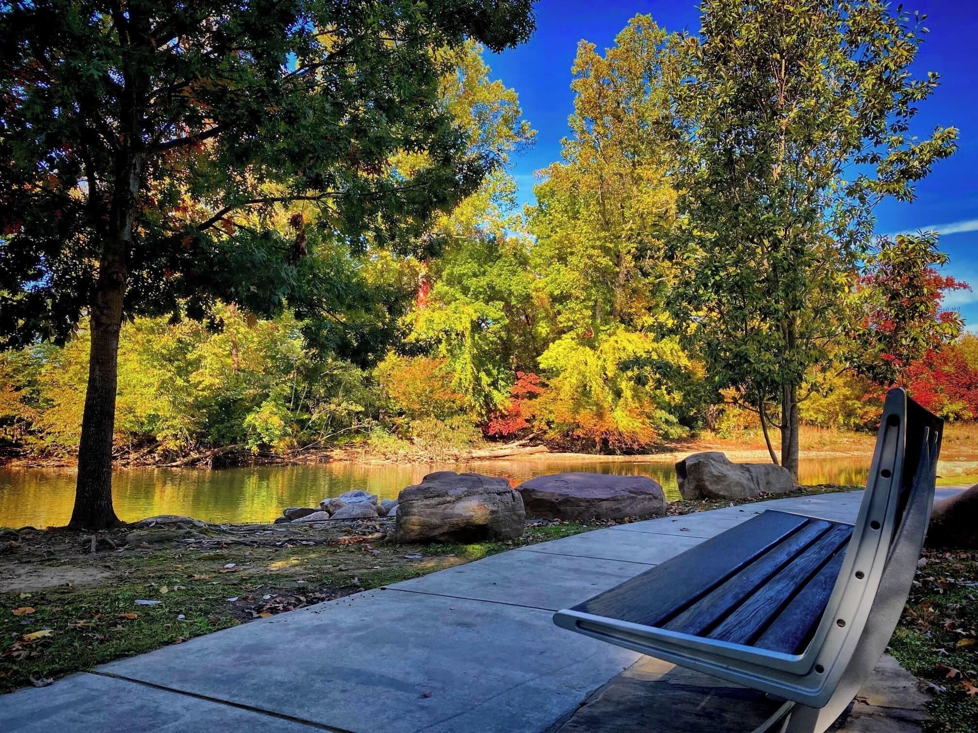 Un banco de parque junto a un lago, con árboles y rocas.