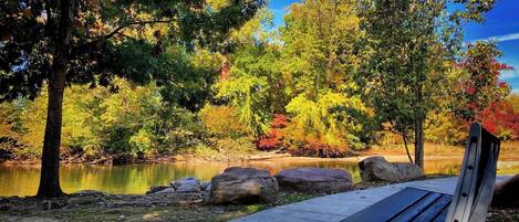 Un banco de parque junto a un lago, con árboles y rocas.