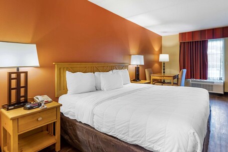 Econo Lodge Pigeon Forge Riverside - Image 84