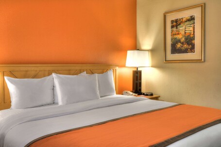 Econo Lodge Pigeon Forge Riverside - Image 29