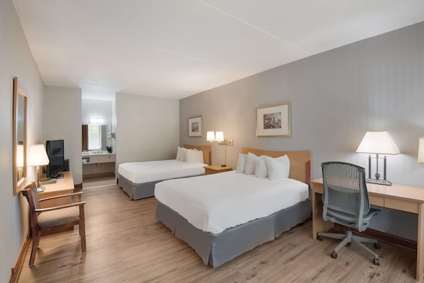 Standard Room, 2 Queen Beds, Non Smoking, Refrigerator & Microwave (Pet Friendly) | Pillowtop beds, in-room safe, desk, blackout drapes