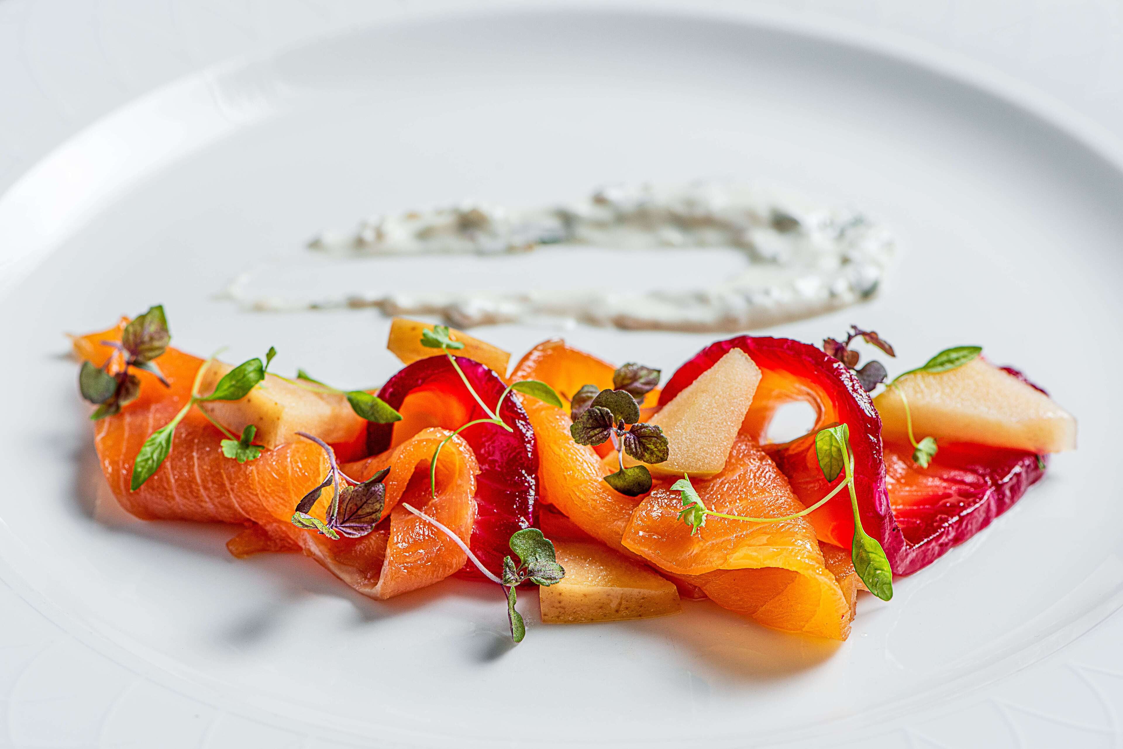 A white plate with a colorful fruit salad and a dollop of cream.