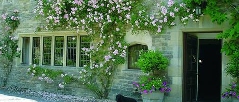 A stone building with pink flowering vines, a black dog lying on the ground, and a door with a window.