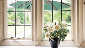 Une fenêtre donnant sur un jardin et une plante en pot ornée de fleurs blanches.