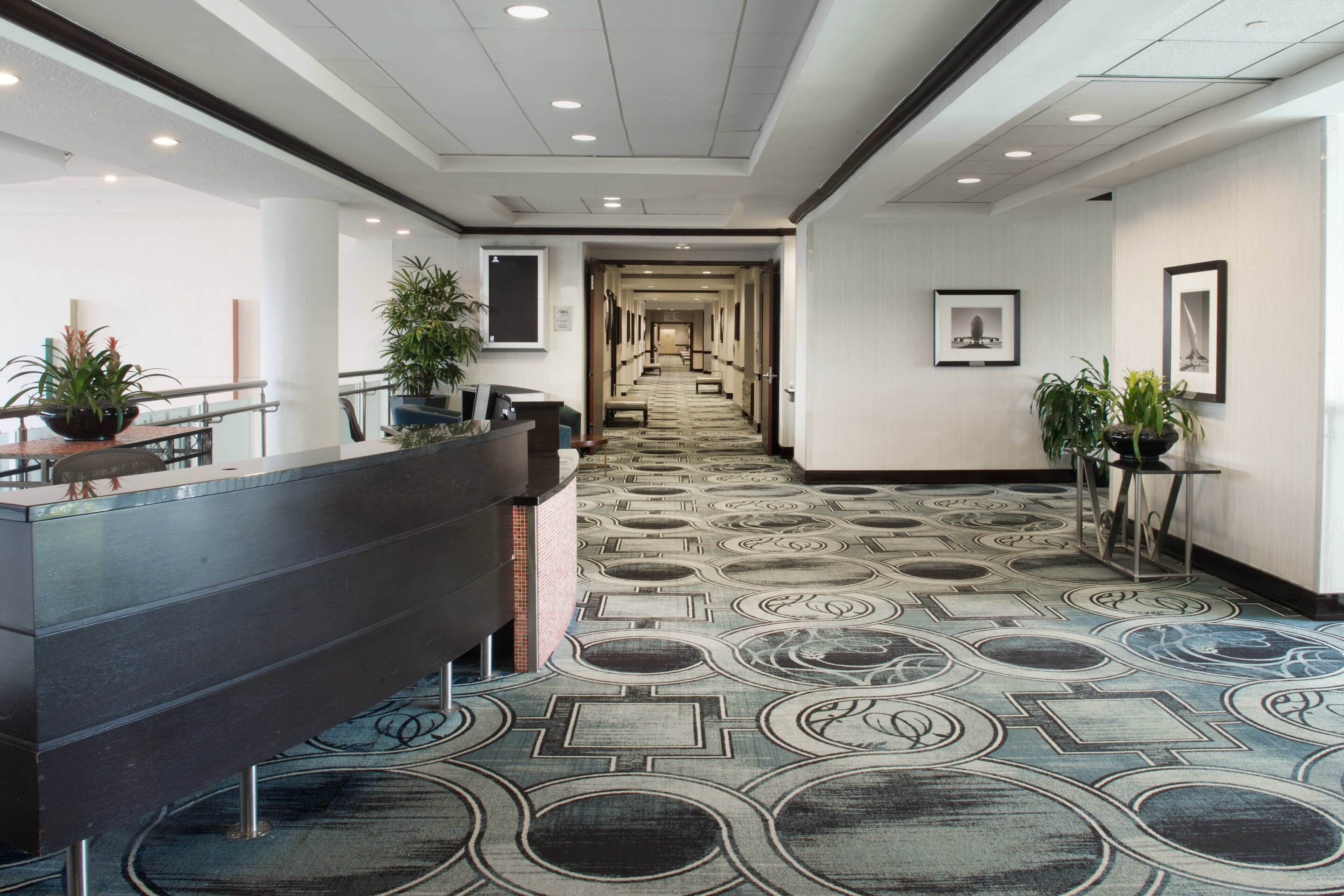 A hotel lobby with a patterned carpet, reception desk, potted plants, and framed pictures on the walls.