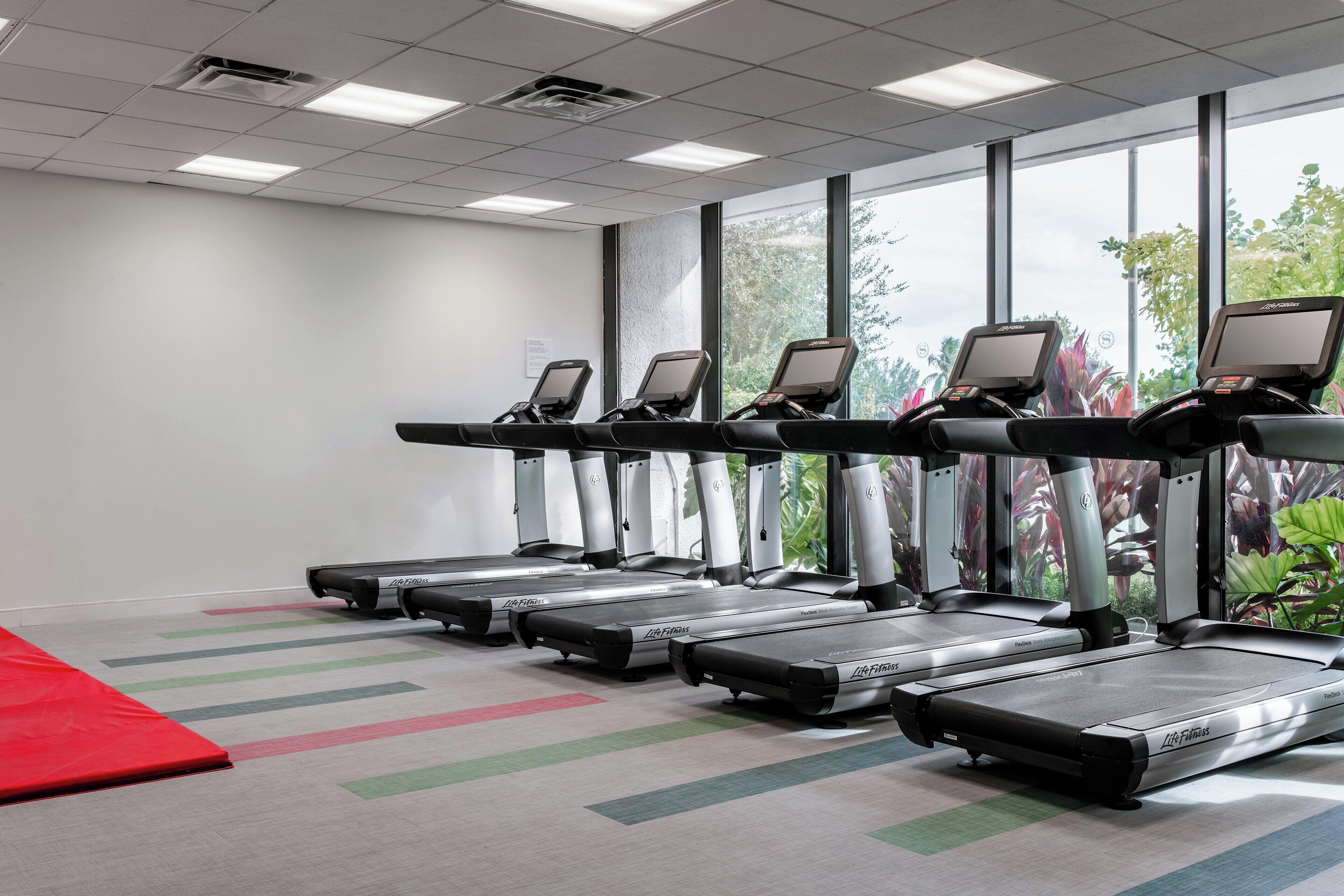 Varias cintas de correr en un gimnasio con ventanas amplias y una colchoneta roja en el suelo.