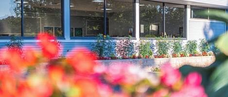 A modern building with large windows and a well-maintained garden with colorful flowers.