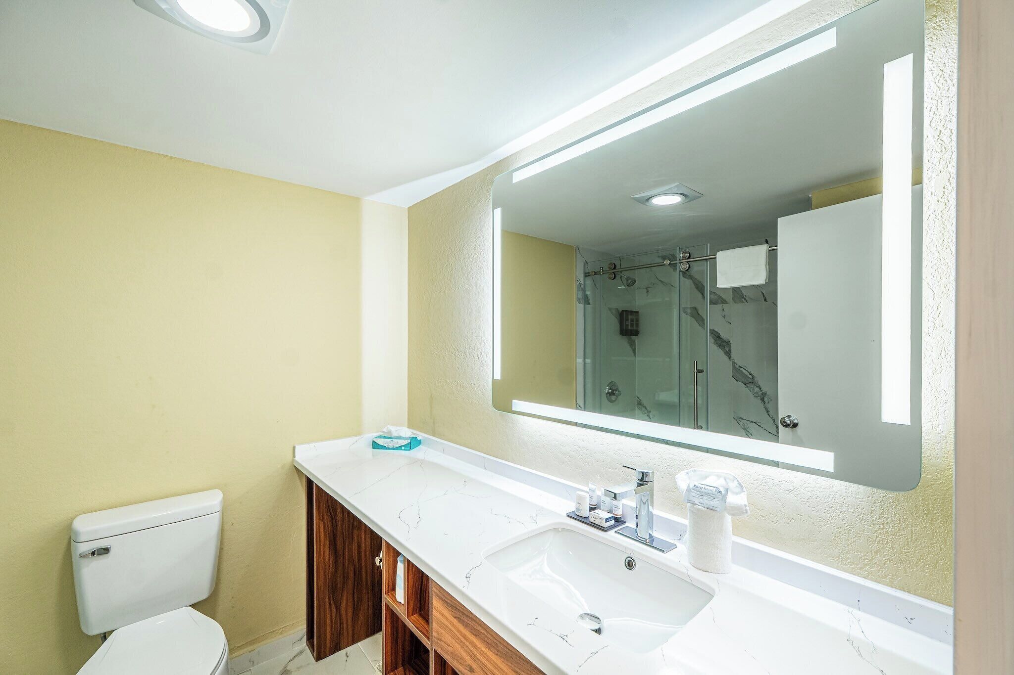 A bathroom with a toilet, a sink with a mirror, and a shower area.