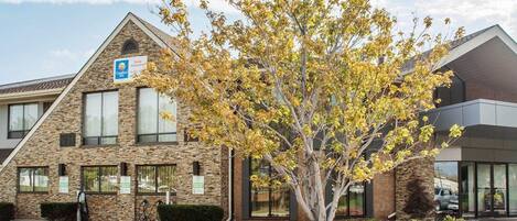 A Comfort Inn hotel with a stone facade, a large tree in front, and a landscaped garden with colorful flowers.