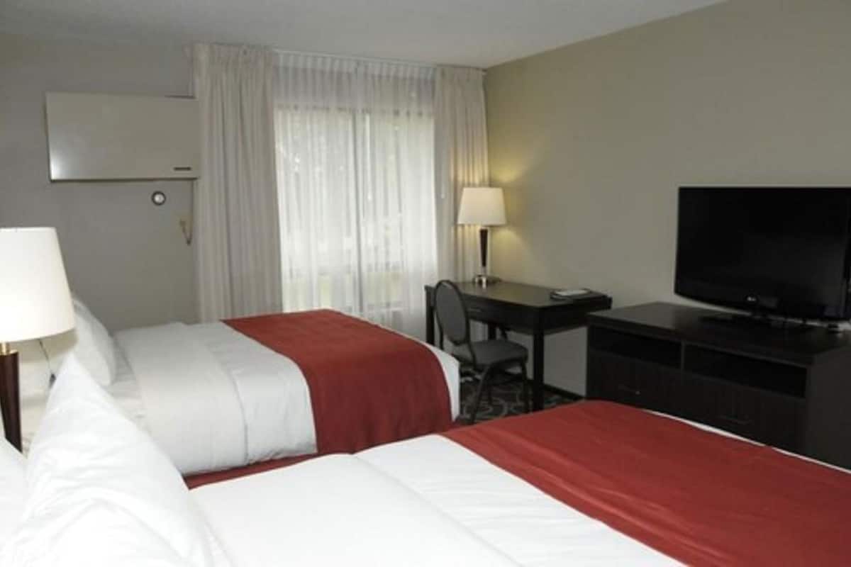 Desk, iron/ironing board, free WiFi, bed sheets